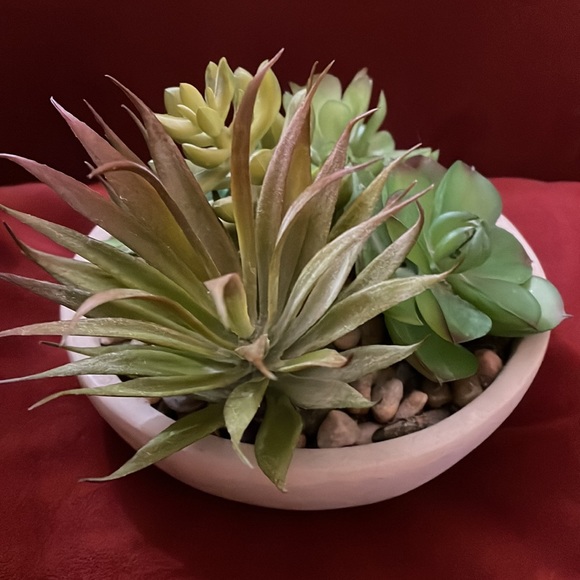 5 Artificial Succulent Plants Small Faux Cacti Mini Potted Plants Indoor Decor - Picture 3 of 6